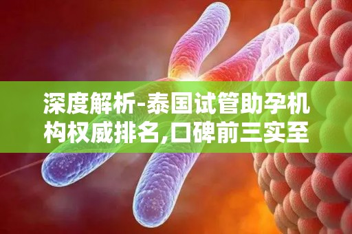 深度解析-泰国试管助孕机构权威排名,口碑前三实至名归!