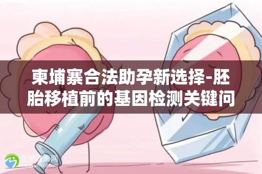 柬埔寨合法助孕新选择-胚胎移植前的基因检测关键问答!