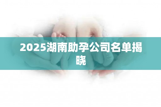 2025湖南助孕公司名单揭晓