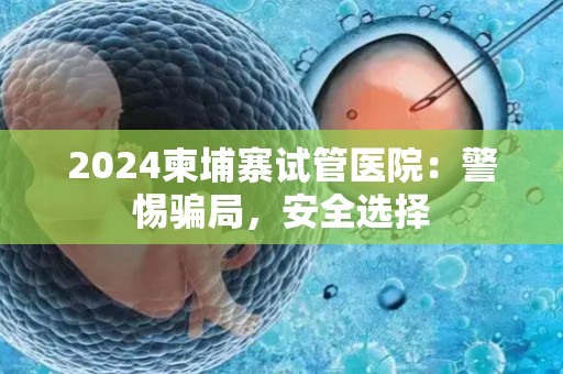 2024柬埔寨试管医院：警惕骗局，安全选择