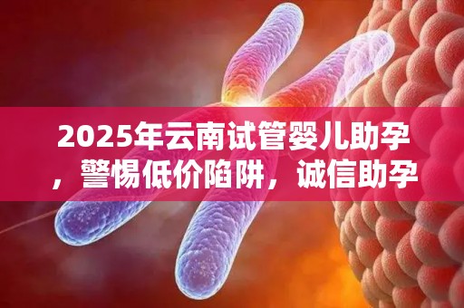 2025年云南试管婴儿助孕，警惕低价陷阱，诚信助孕首选