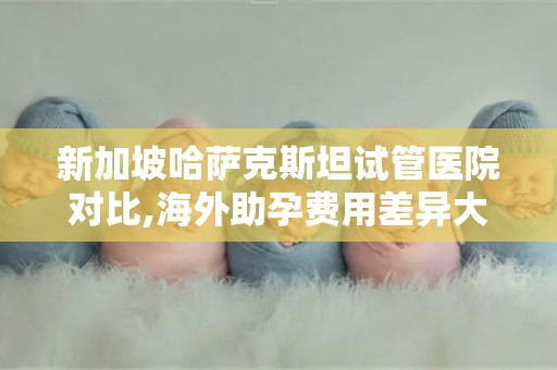 新加坡哈萨克斯坦试管医院对比,海外助孕费用差异大吗？