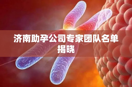 济南助孕公司专家团队名单揭晓