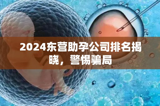 2024东营助孕公司排名揭晓，警惕骗局