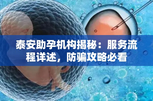 泰安助孕机构揭秘：服务流程详述，防骗攻略必看