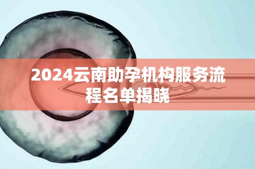 2024云南助孕机构服务流程名单揭晓