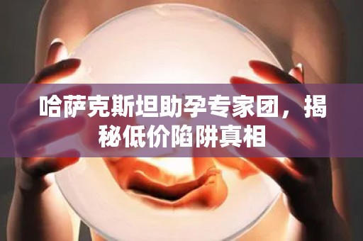 哈萨克斯坦助孕专家团，揭秘低价陷阱真相