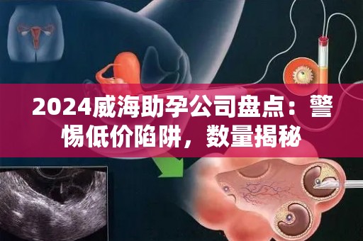 2024威海助孕公司盘点：警惕低价陷阱，数量揭秘
