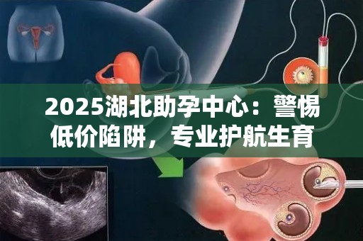 2025湖北助孕中心：警惕低价陷阱，专业护航生育
