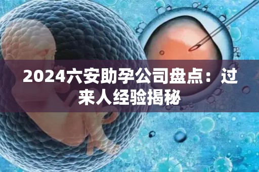 2024六安助孕公司盘点：过来人经验揭秘