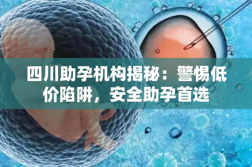 四川助孕机构揭秘：警惕低价陷阱，安全助孕首选