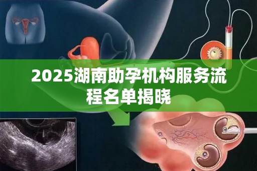2025湖南助孕机构服务流程名单揭晓