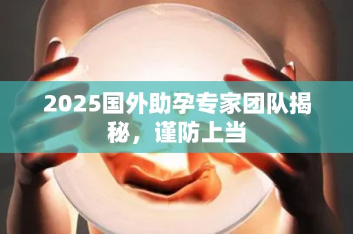 2025国外助孕专家团队揭秘，谨防上当