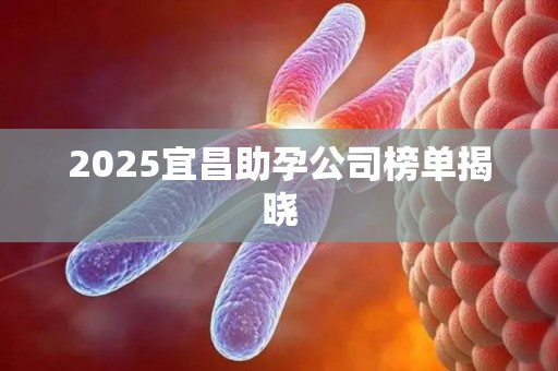 2025宜昌助孕公司榜单揭晓