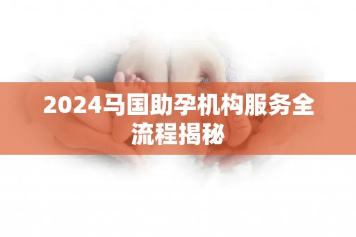 2024马国助孕机构服务全流程揭秘