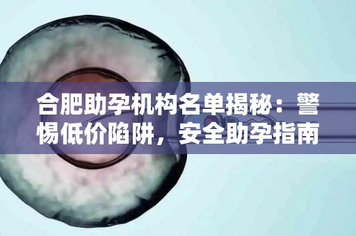合肥助孕机构名单揭秘：警惕低价陷阱，安全助孕指南
