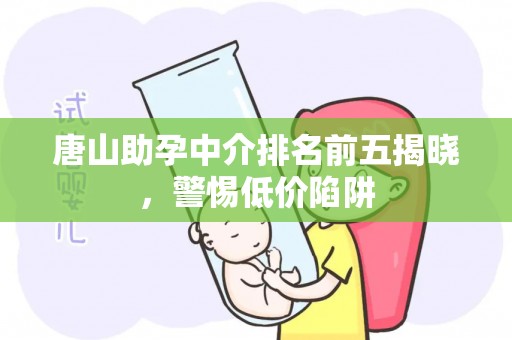 唐山助孕中介排名前五揭晓，警惕低价陷阱