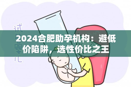 2024合肥助孕机构：避低价陷阱，选性价比之王