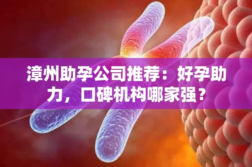 漳州助孕公司推荐：好孕助力，口碑机构哪家强？