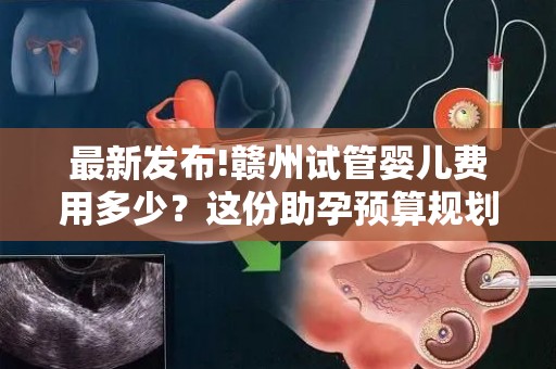 最新发布!赣州试管婴儿费用多少？这份助孕预算规划建议收藏!