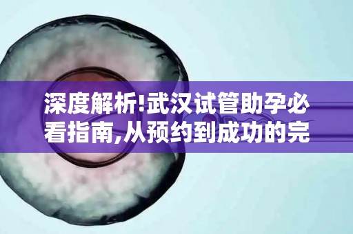 深度解析!武汉试管助孕必看指南,从预约到成功的完整攻略!
