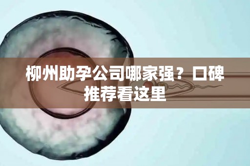 柳州助孕公司哪家强？口碑推荐看这里