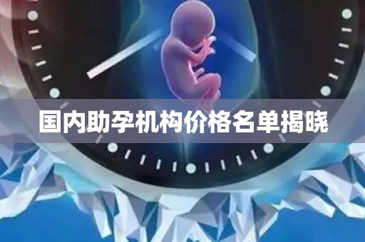 国内助孕机构价格名单揭晓