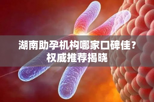 湖南助孕机构哪家口碑佳？权威推荐揭晓