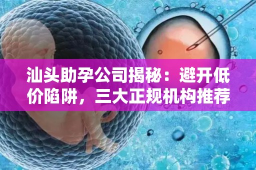 汕头助孕公司揭秘：避开低价陷阱，三大正规机构推荐