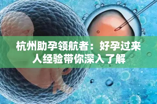 杭州助孕领航者：好孕过来人经验带你深入了解