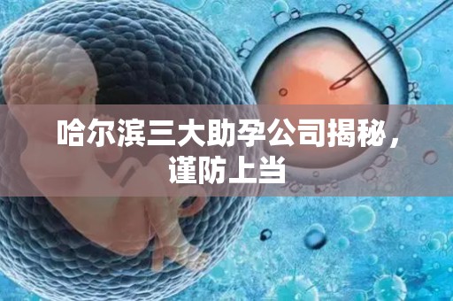 哈尔滨三大助孕公司揭秘，谨防上当