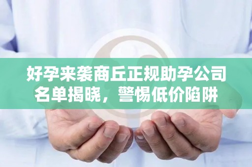 好孕来袭商丘正规助孕公司名单揭晓，警惕低价陷阱