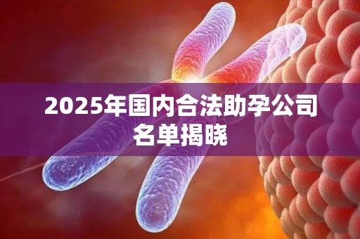 2025年国内合法助孕公司名单揭晓