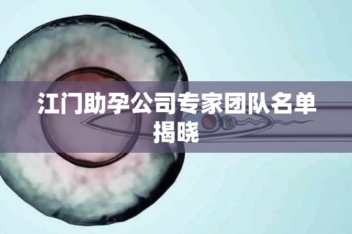 江门助孕公司专家团队名单揭晓