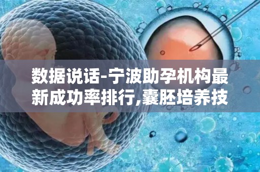 数据说话-宁波助孕机构最新成功率排行,囊胚培养技术PK