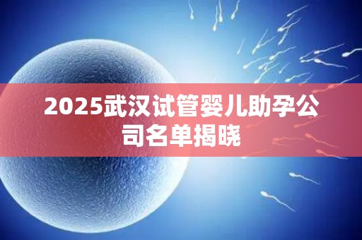 2025武汉试管婴儿助孕公司名单揭晓