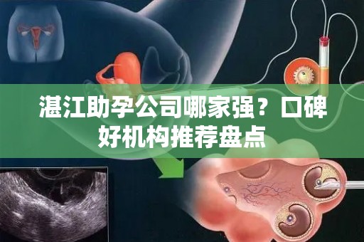 湛江助孕公司哪家强？口碑好机构推荐盘点