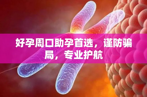 好孕周口助孕首选，谨防骗局，专业护航