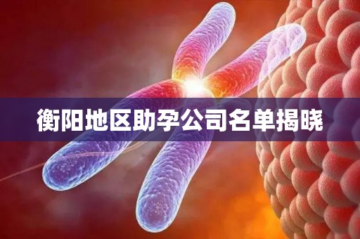 衡阳地区助孕公司名单揭晓