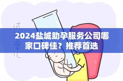 2024盐城助孕服务公司哪家口碑佳？推荐首选