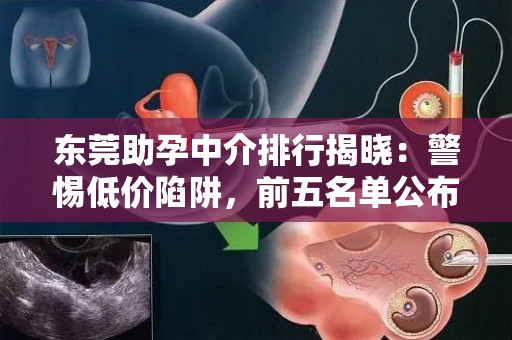 东莞助孕中介排行揭晓：警惕低价陷阱，前五名单公布