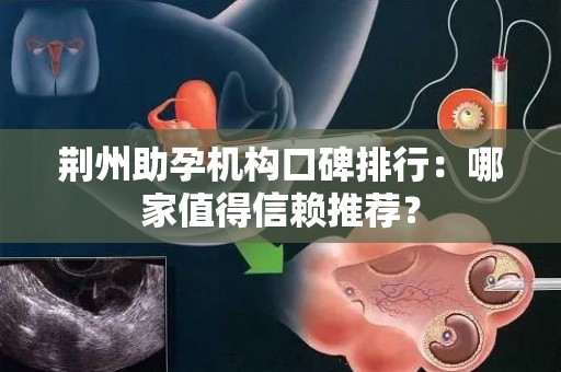 荆州助孕机构口碑排行：哪家值得信赖推荐？