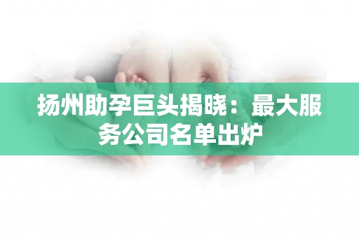 扬州助孕巨头揭晓：最大服务公司名单出炉