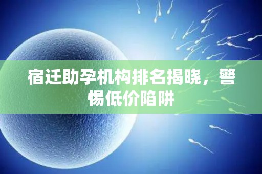 宿迁助孕机构排名揭晓，警惕低价陷阱