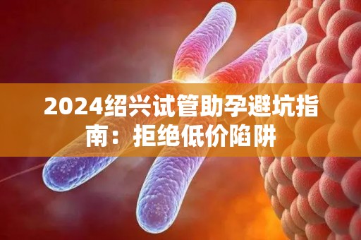 2024绍兴试管助孕避坑指南：拒绝低价陷阱