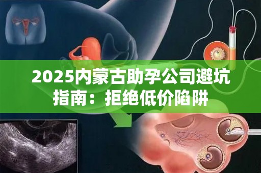 2025内蒙古助孕公司避坑指南：拒绝低价陷阱