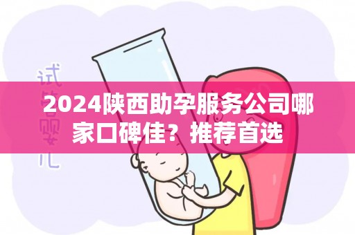 2024陕西助孕服务公司哪家口碑佳？推荐首选