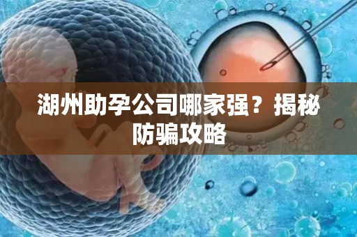 湖州助孕公司哪家强？揭秘防骗攻略