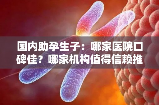 国内助孕生子：哪家医院口碑佳？哪家机构值得信赖推荐？