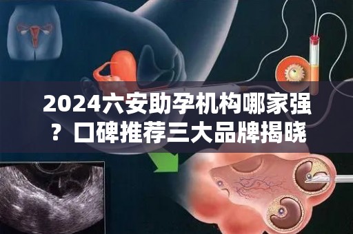 2024六安助孕机构哪家强？口碑推荐三大品牌揭晓